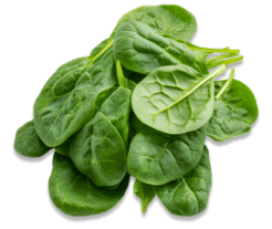 Frau in sportlicher Kleidung beim Workout – Symbol für Fitness und Gesundheit mit LIV Nahrungsergänzungsmitteln für Frauen