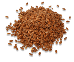 Leinsamen – natürliche Zutat in LIV Nahrungsergänzungsmitteln für Frauen