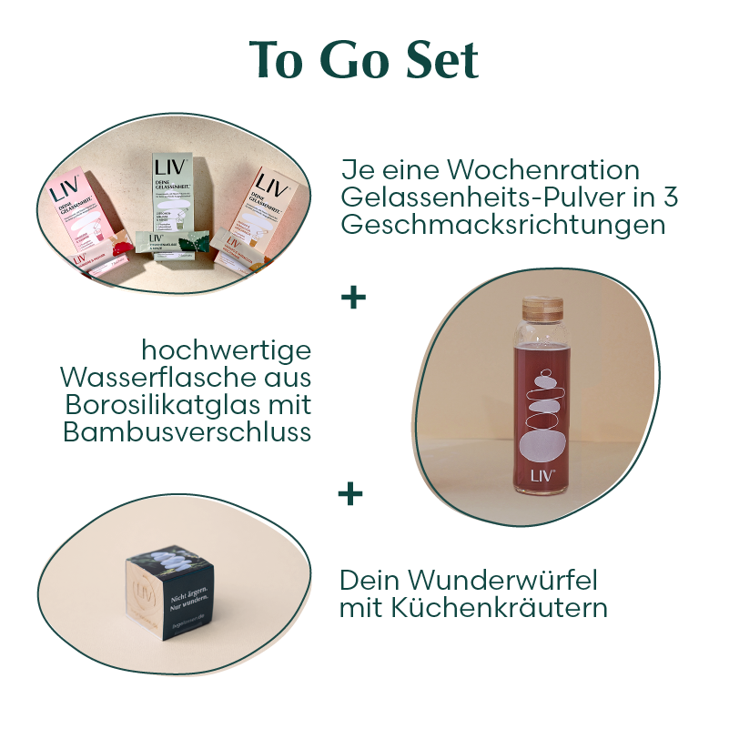 Visuelle Darstellung des Inhalts des 'To Go Sets' in Form von Kreisen: Trinkflasche, alle 3 Sorten der Anti-Stress Kur und Selbstpflanz-Kräuterwürfel. Neben den ovalen Kreisen sind die Produktnamen aufgeführt.