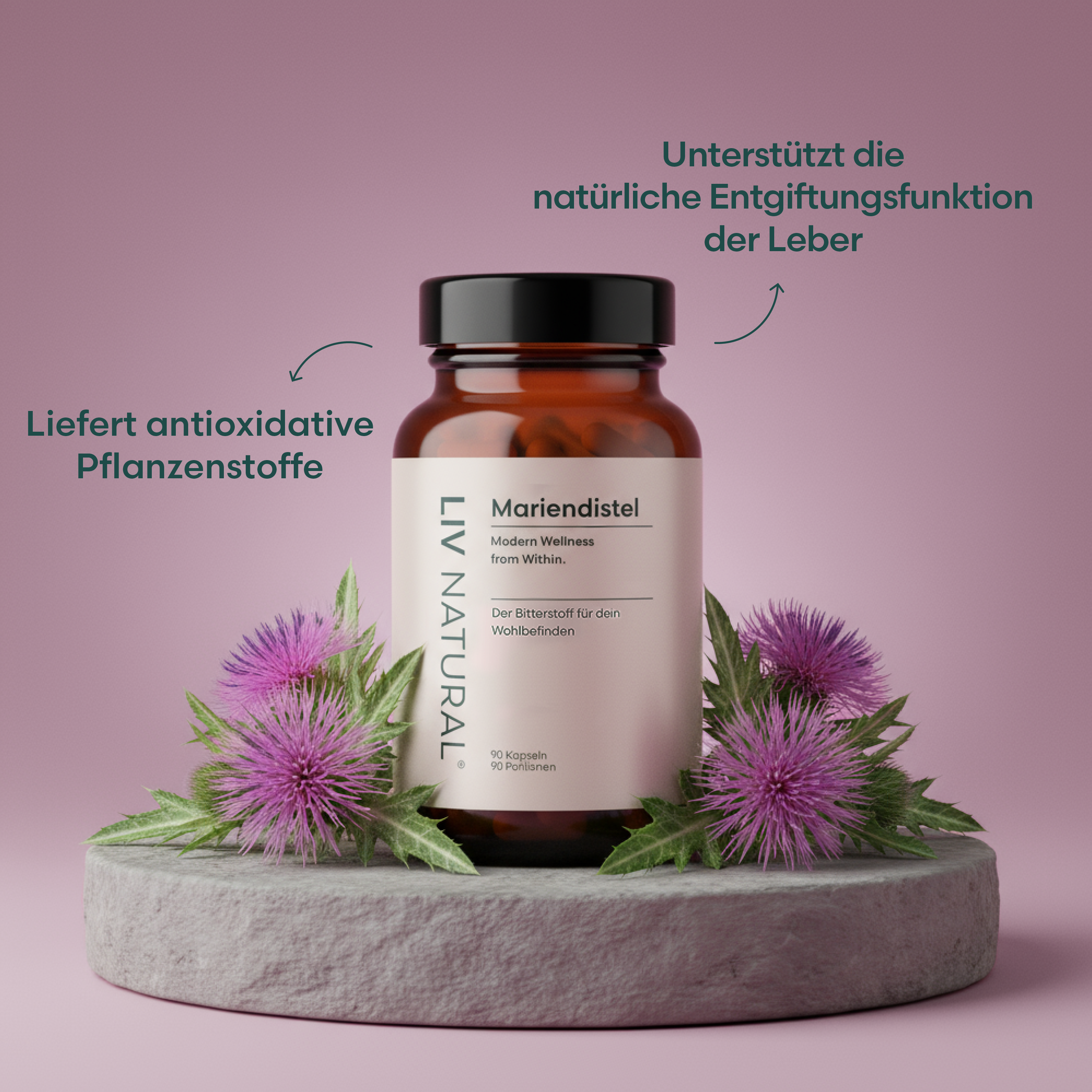 Mariendistel Kapseln