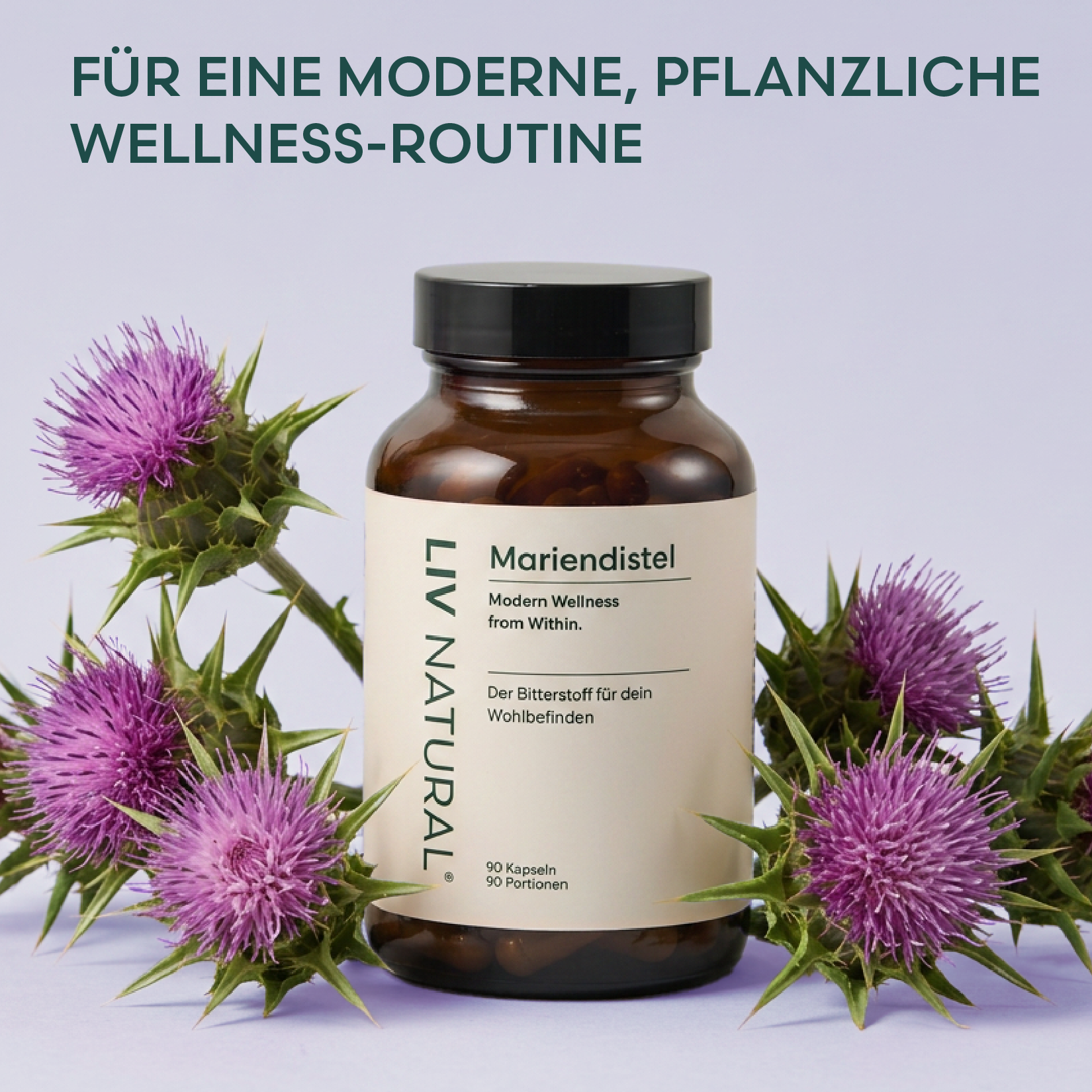 Mariendistel Kapseln Bundle