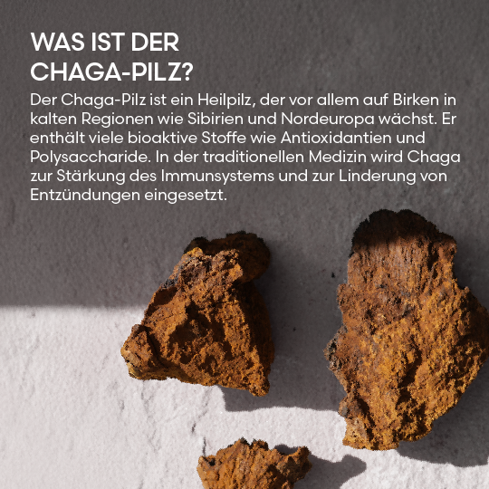 Immunkur mit Chaga & Zitrone