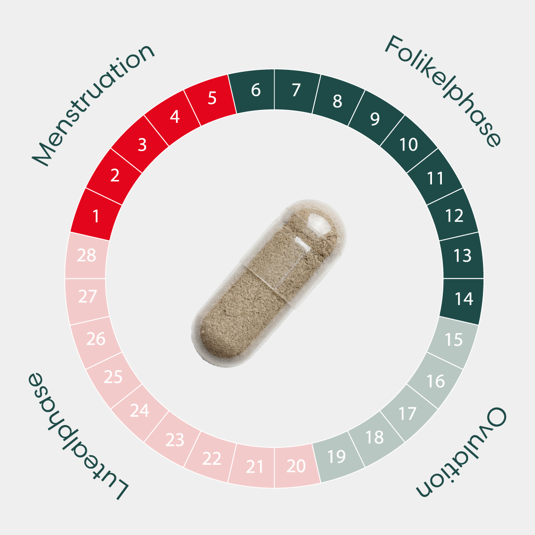 Hormone Balance Kapseln